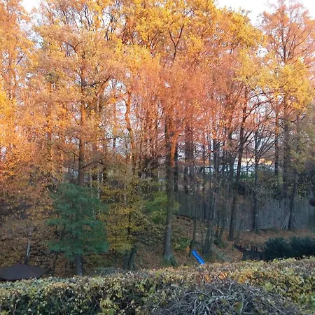 Zielony Domek Bílsko-Bělá